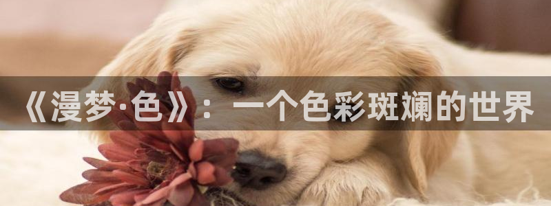韩漫动漫头像：《漫梦·色》：一个色彩斑斓的世界
