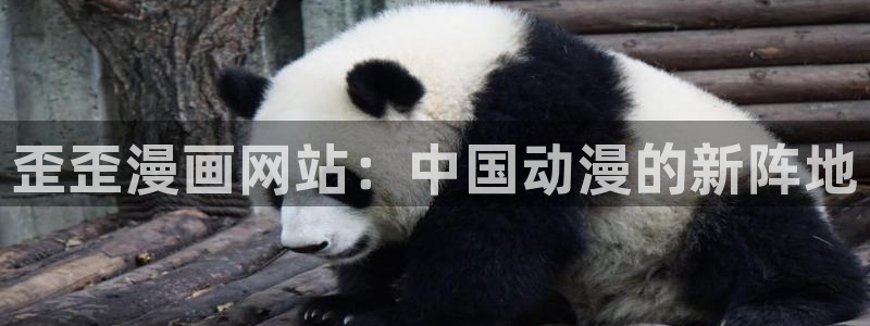 歪歪漫画网sss韩漫：歪歪漫画网站：中国动漫的新阵地