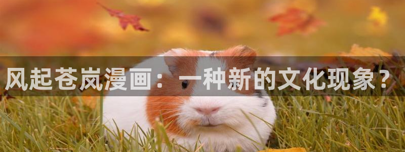 韩漫在线阅读漫画画免费读漫画下：风起苍岚漫画：一种新的文化现象？