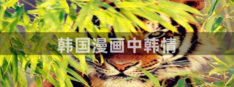 水边之夜韩漫免费观看：韩国漫画中韩情