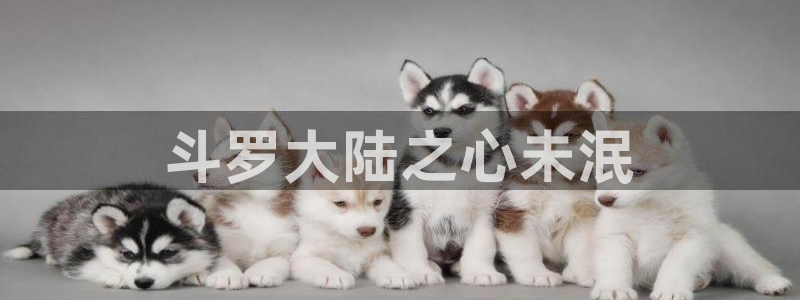 韩漫歪歪漫画秋蝉入口：斗罗大陆之心未泯