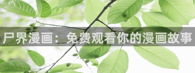 偷窥韩漫画免费阅读：尸界漫画：免费观看你的漫画故事