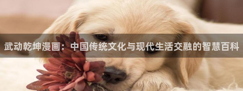 免费漫画韩漫首页在线看