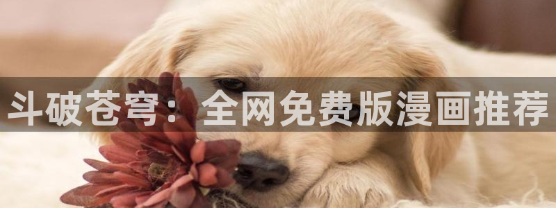 歪歪韩漫网站