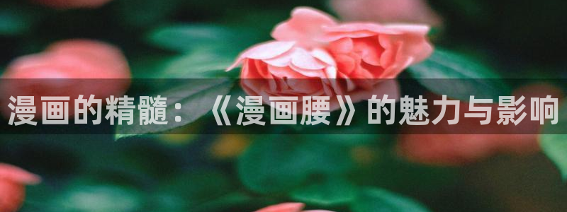 好看的韩漫画免费阅读