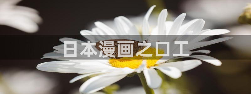 hftoon韩漫免费版