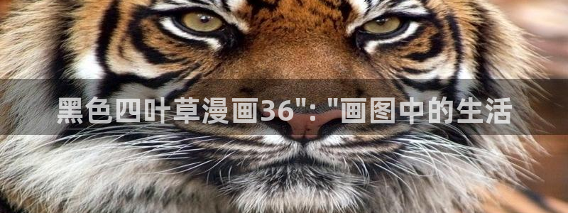 韩漫一耽网站