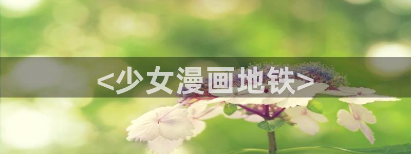 美丽新世界韩漫在线看：<少女漫画地铁>