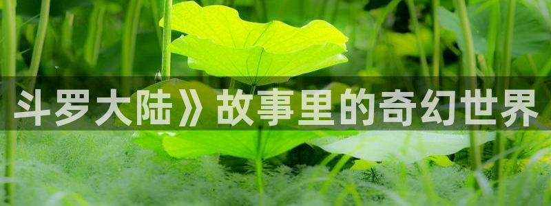 yy韩漫网站：斗罗大陆》故事里的奇幻世界