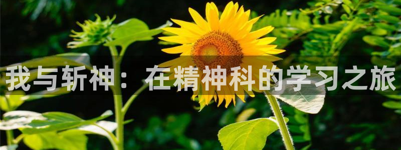 韩漫之家漫画免费阅读入口：我与斩神：在精神科的学习之旅